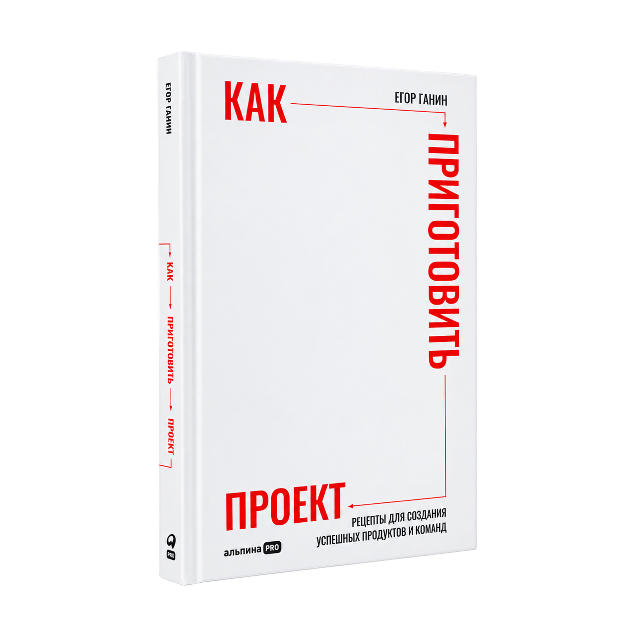Обложка книги Егора Ганина «Как приготовить проект»